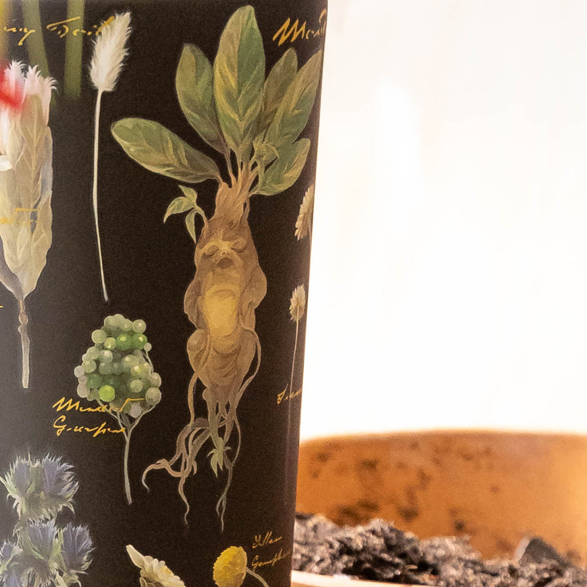 harry-potter-cold-cup-n2 Herbology-3.jpg