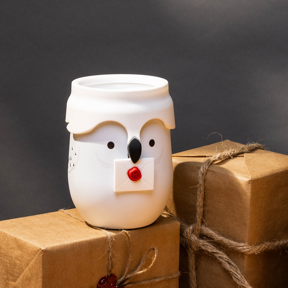 harry-potter-stemless-r0 da329e4f7c5d--Hedwig-Lifestyle-3.png